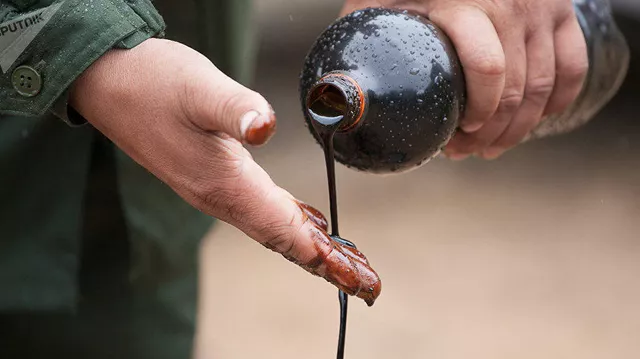Фото: Sputnik / Сергей Лескеть