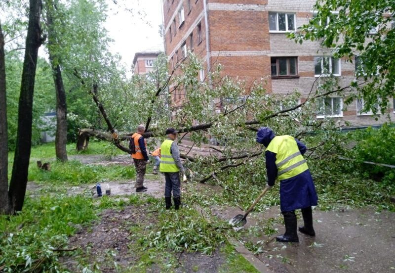 Фото: администрация Перми