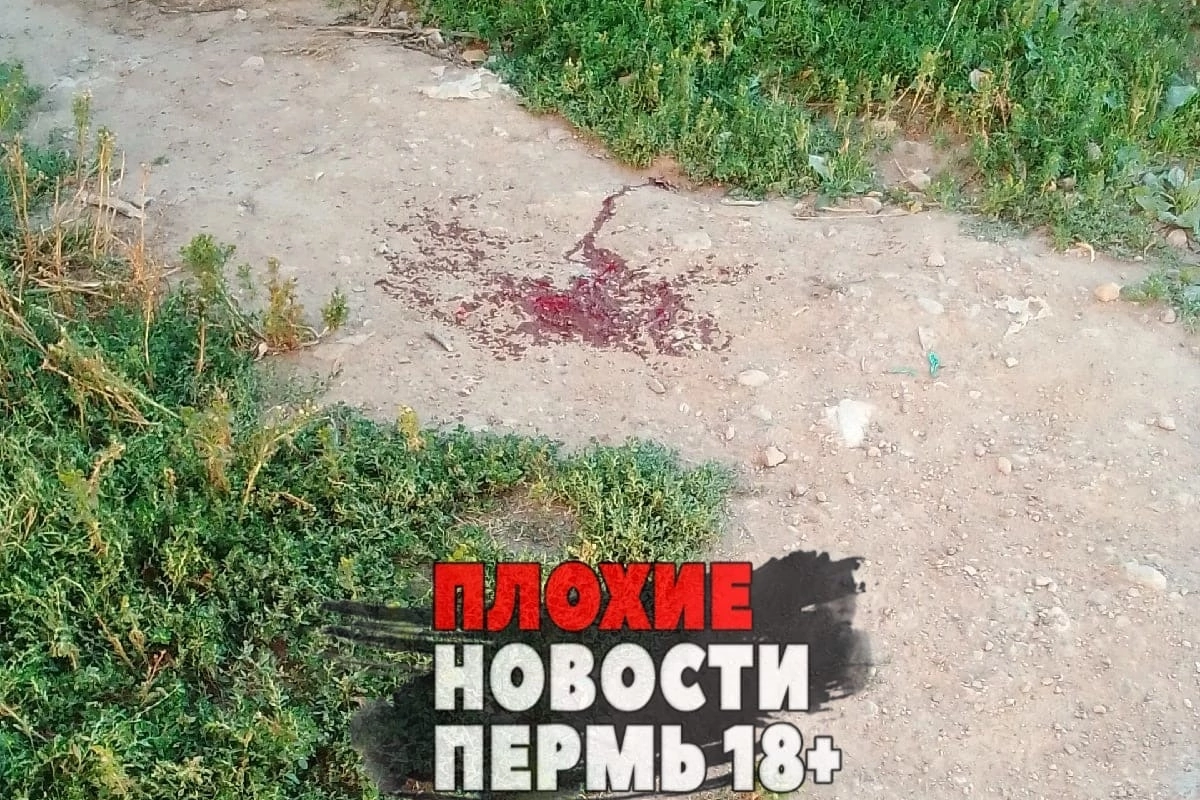 Фото: паблик в 
