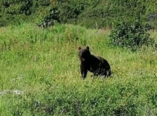 Фото: ВКонтакте / Подслушано Александровск