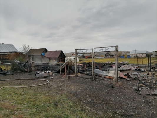 Фото: пресс-служба СУ СКР по Пермскому краю 