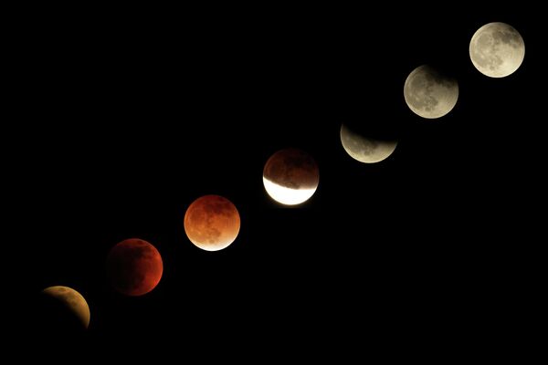 Фото: AP Photo / Ringo H.W. Chiu