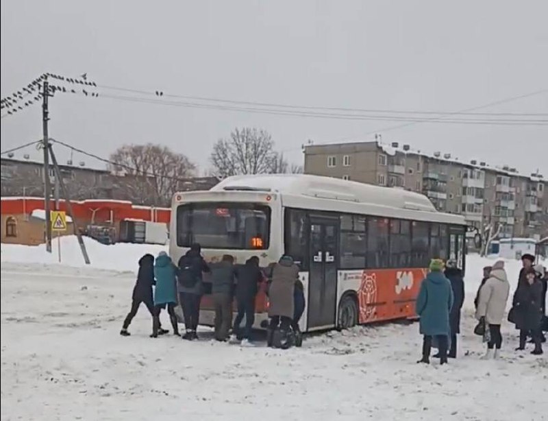 Фото: скрин видео