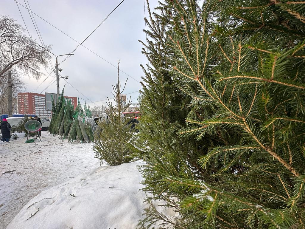 Фото: v-kurse.ru