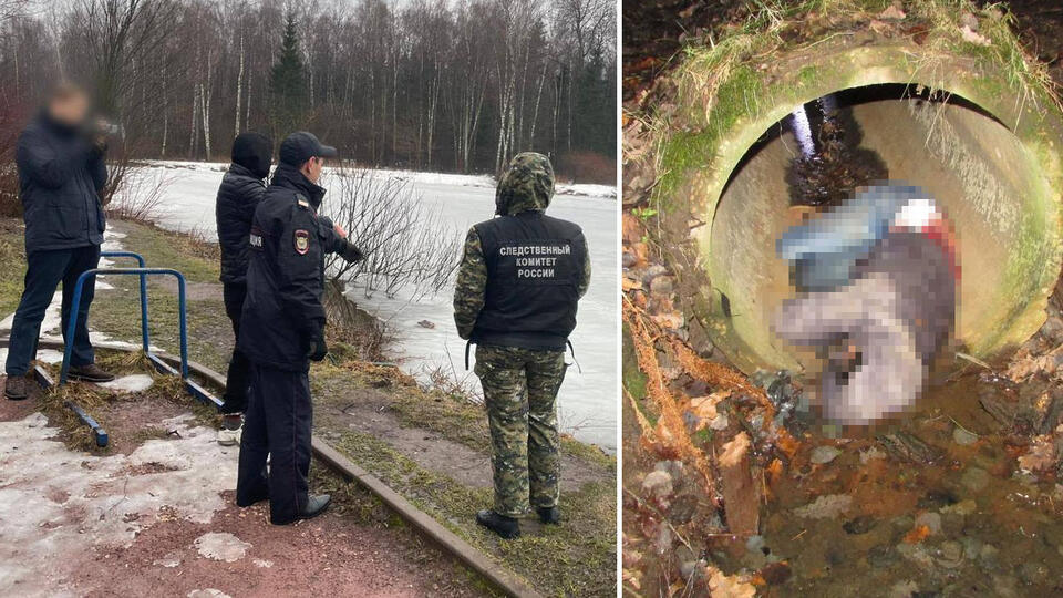 Фото: СУ СК России по Москве
