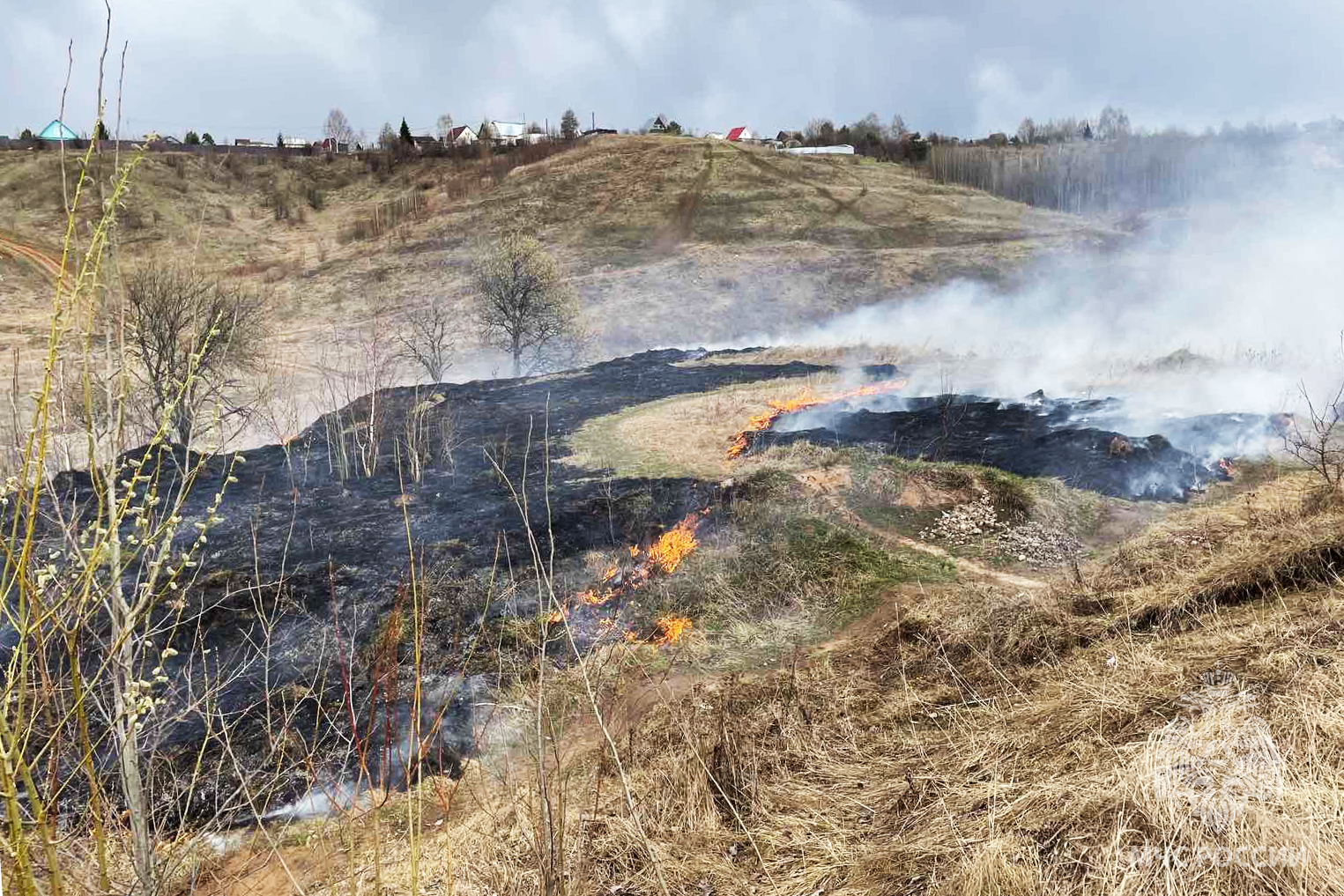 В Пермском крае выгорело 7 гектар земли | 25.04.2023 | Пермь - БезФормата