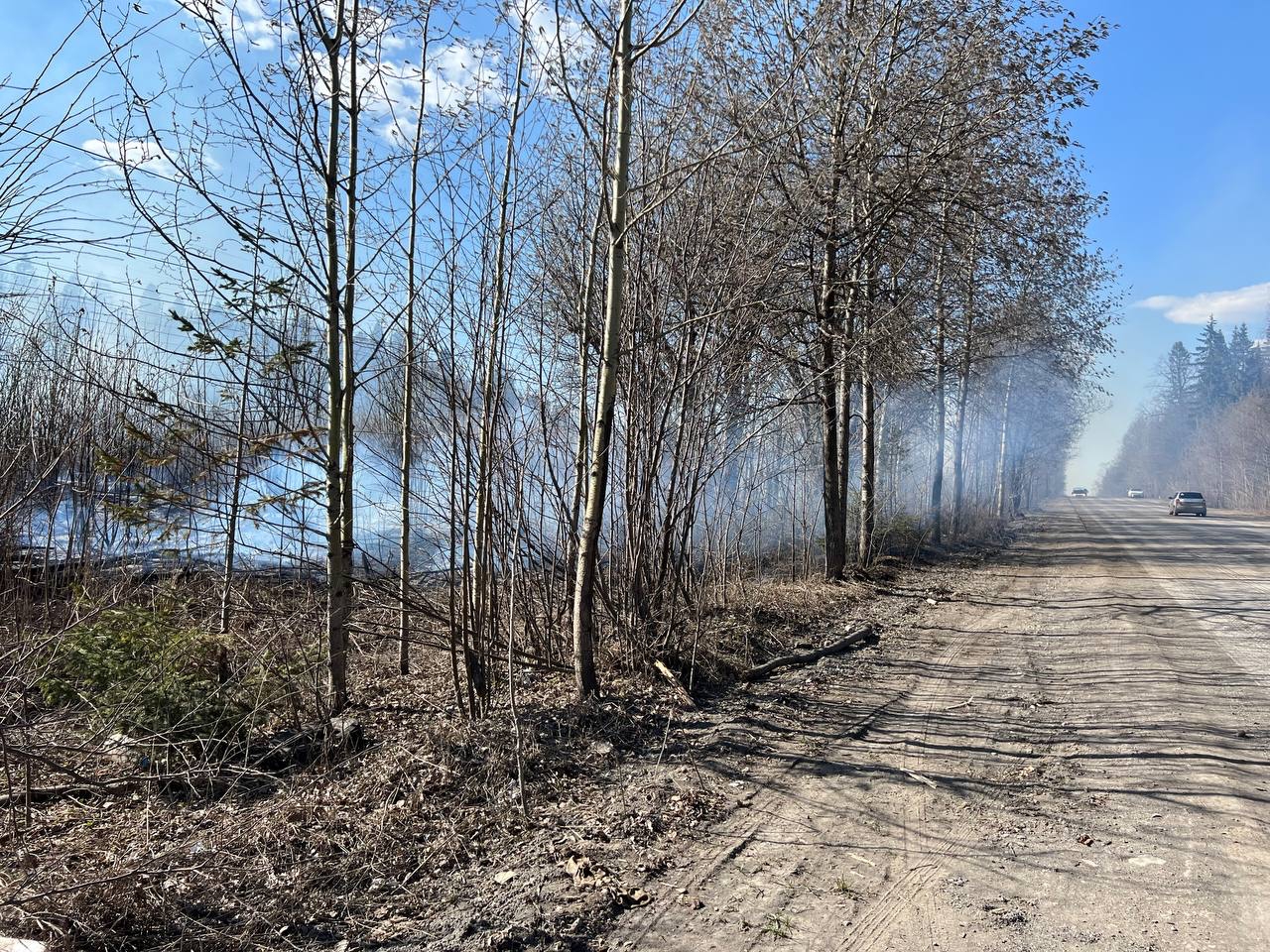 На Сылвенском тракте в Перми сгорело 600 квадратных метров сухой  растительности | 25.04.2023 | Пермь - БезФормата