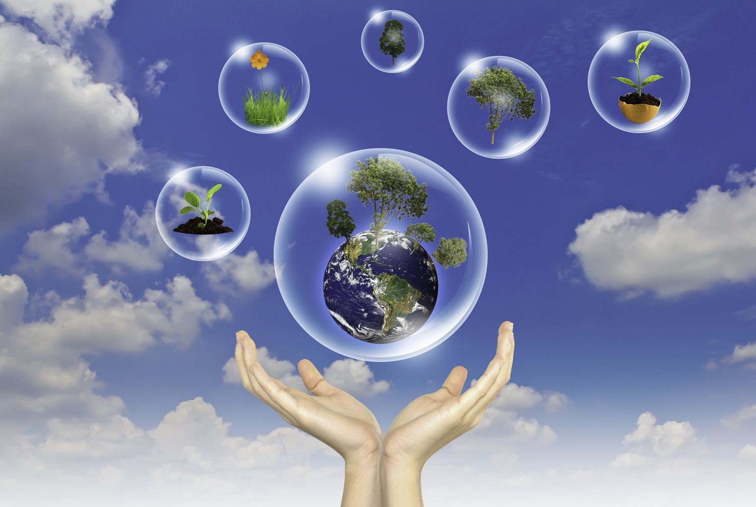 Eco concept : Hand hold earth ,tree and flower in bubbles against the sun and the blue sky