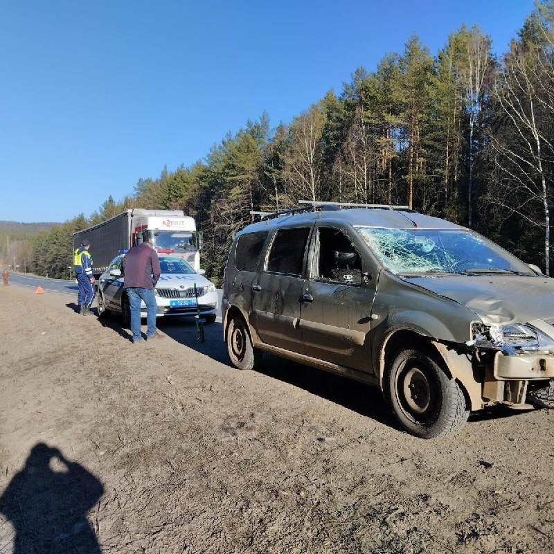 Фото: Госавтоинспекция Пермского края