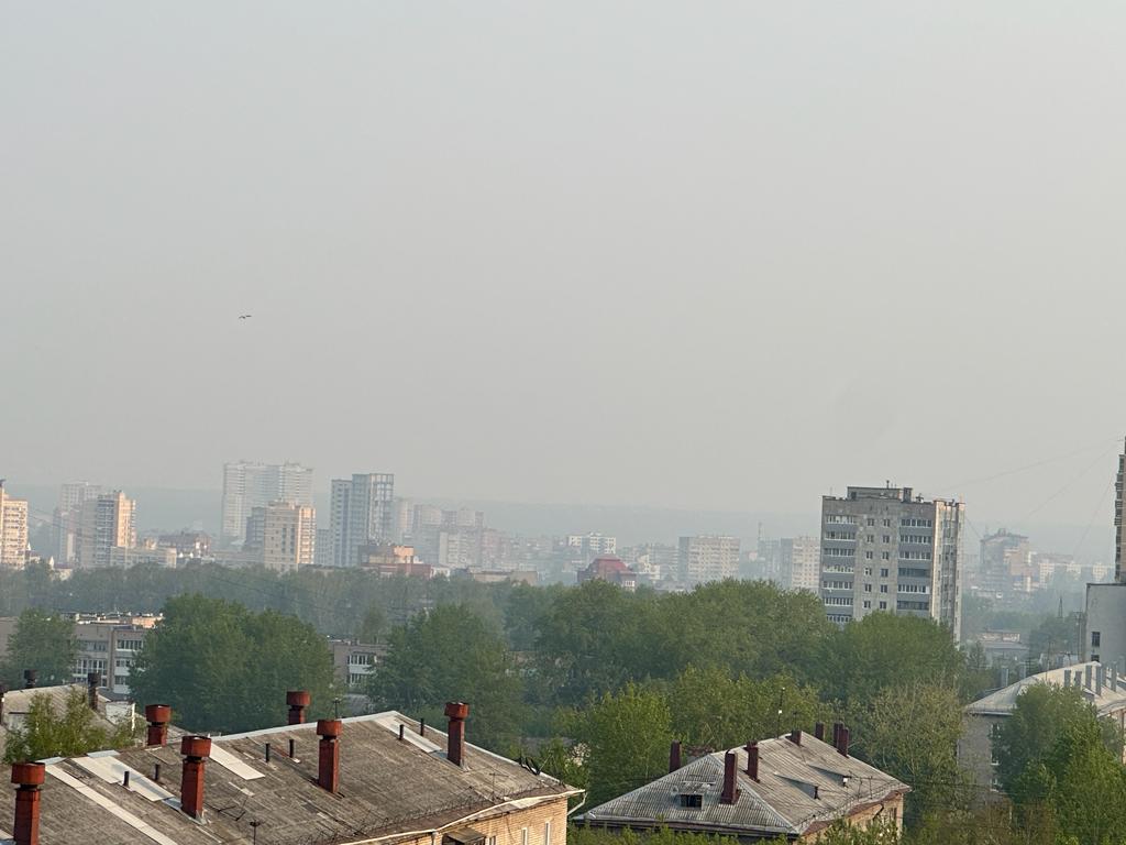 Фото: v-kurse.ru