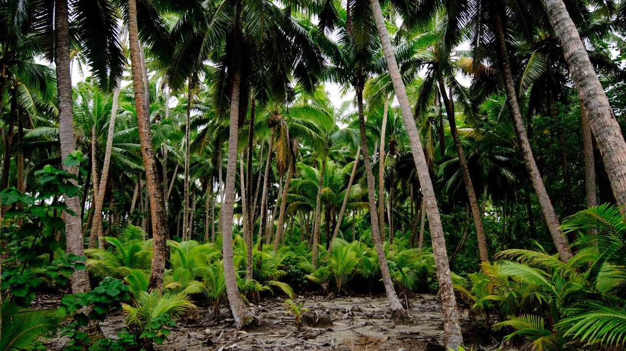 Фото: Fotolia / Rafael Ben-Ari