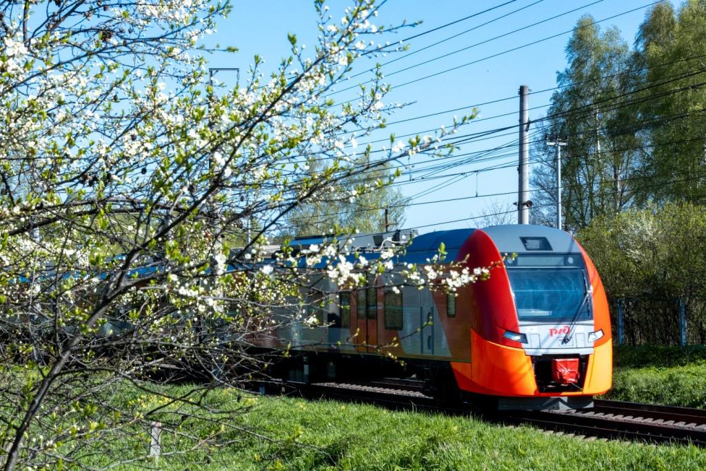 Ласточка туапсе. Ласточка Краснодар Туапсе. Ласточка поезд. Электричка Ласточка. Скоростная электричка.