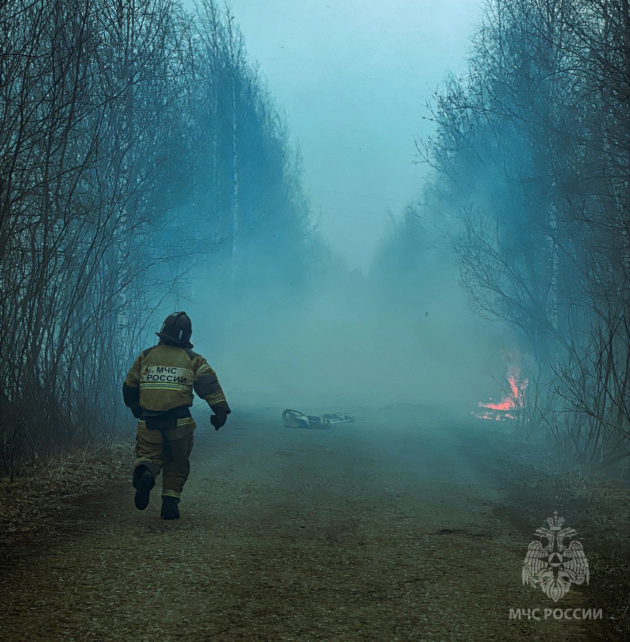Фото: пресс-служба МЧС по Пермскому краю