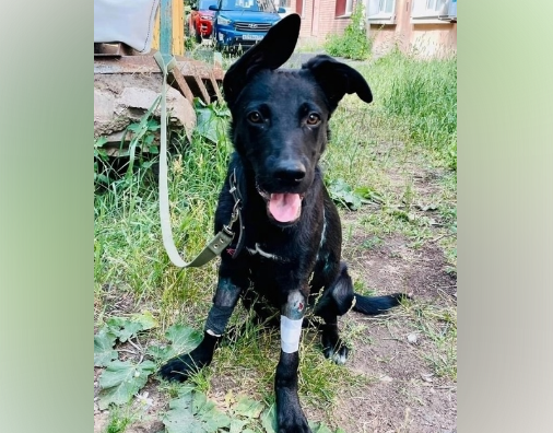 Фото: «ВКонтакте» / ЧП Березники 