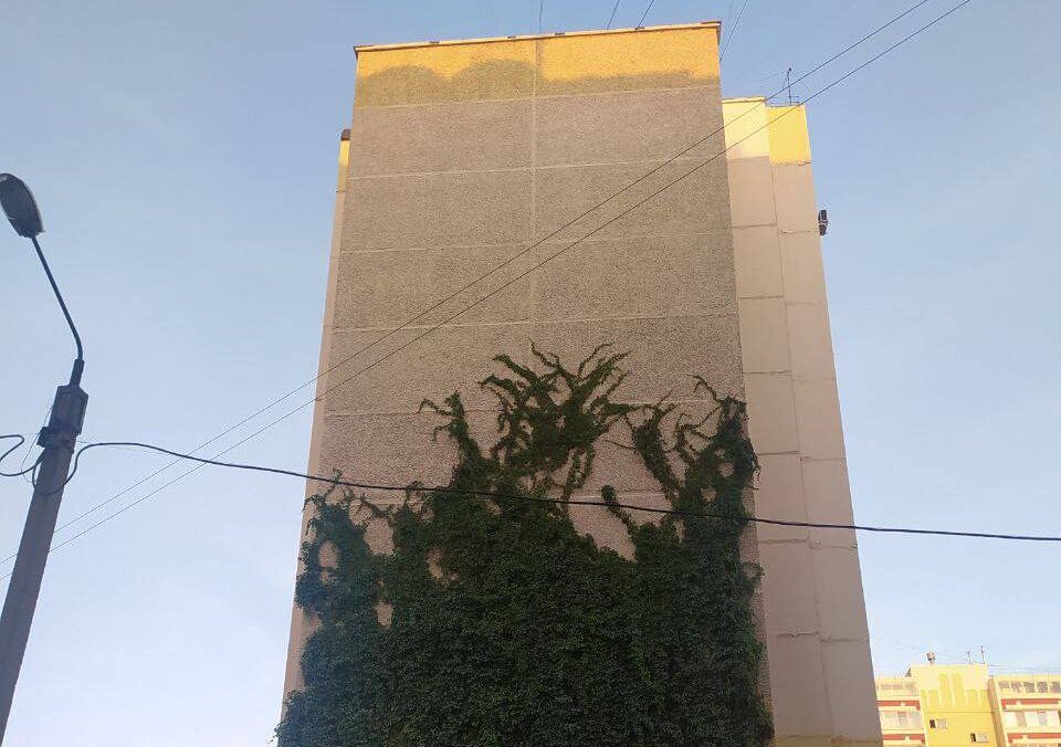 Фото: Пермь LIVE / tg