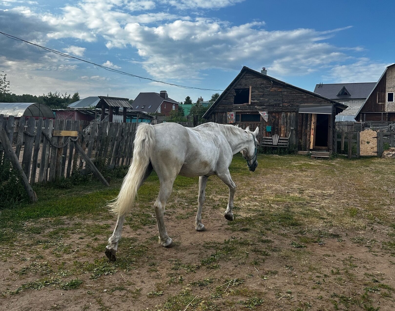 Фото: «В курсе.ру» 