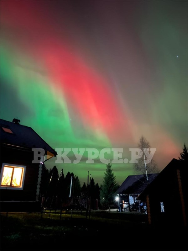 Фото: «В курсе.ру» 