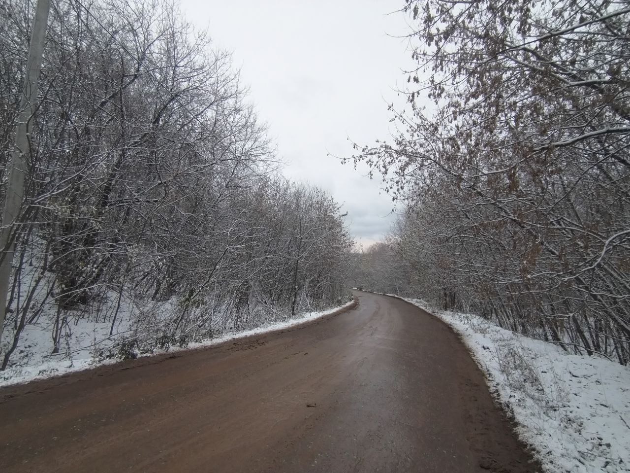 Фото: Полина Анкушина