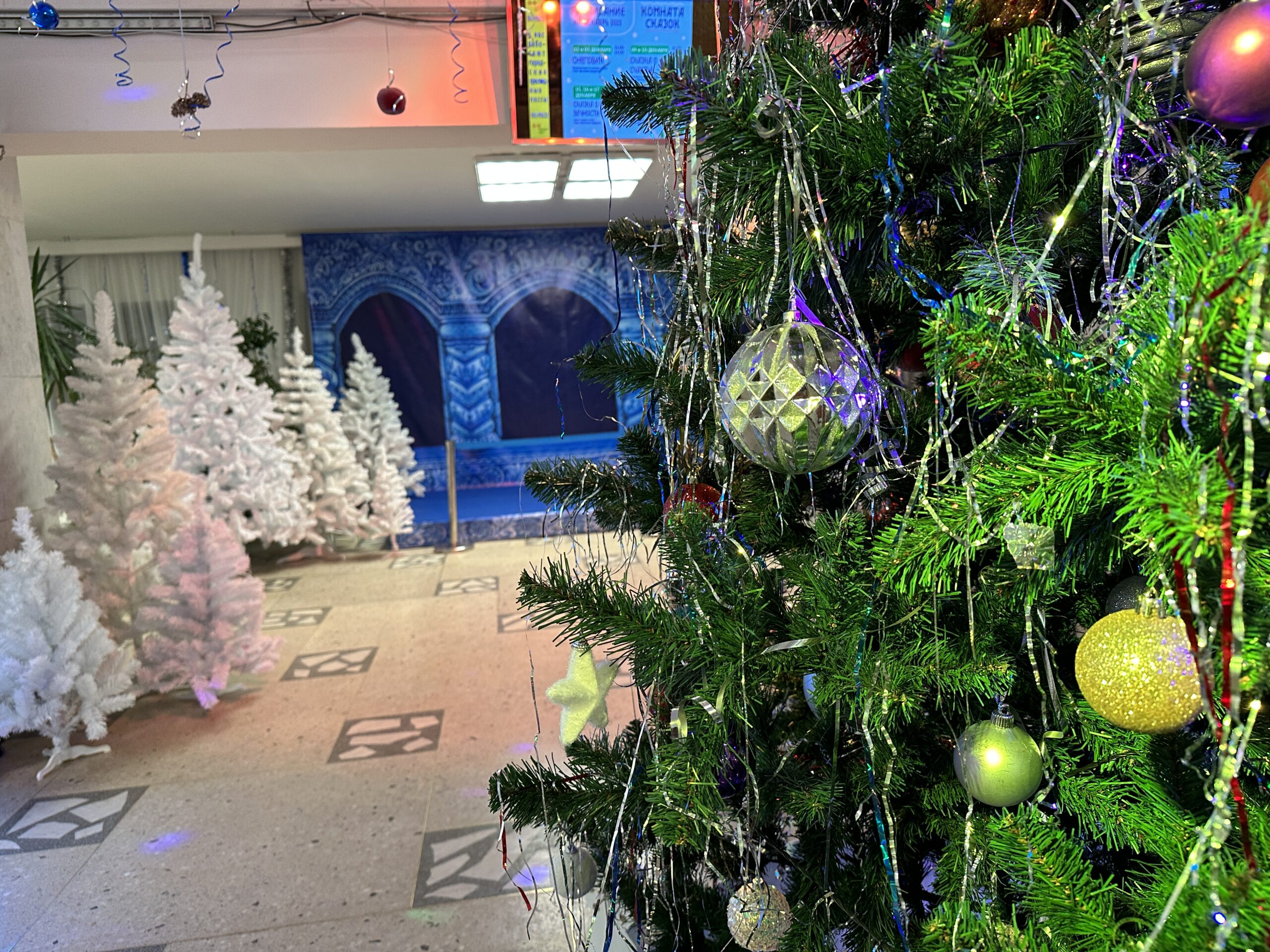 Фото: В курсе.ру  Катерина Заякина