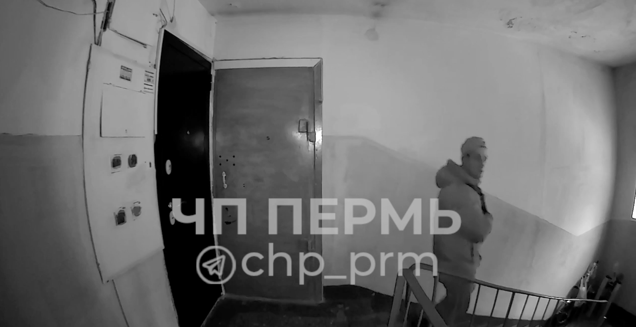 Скрин: видео 