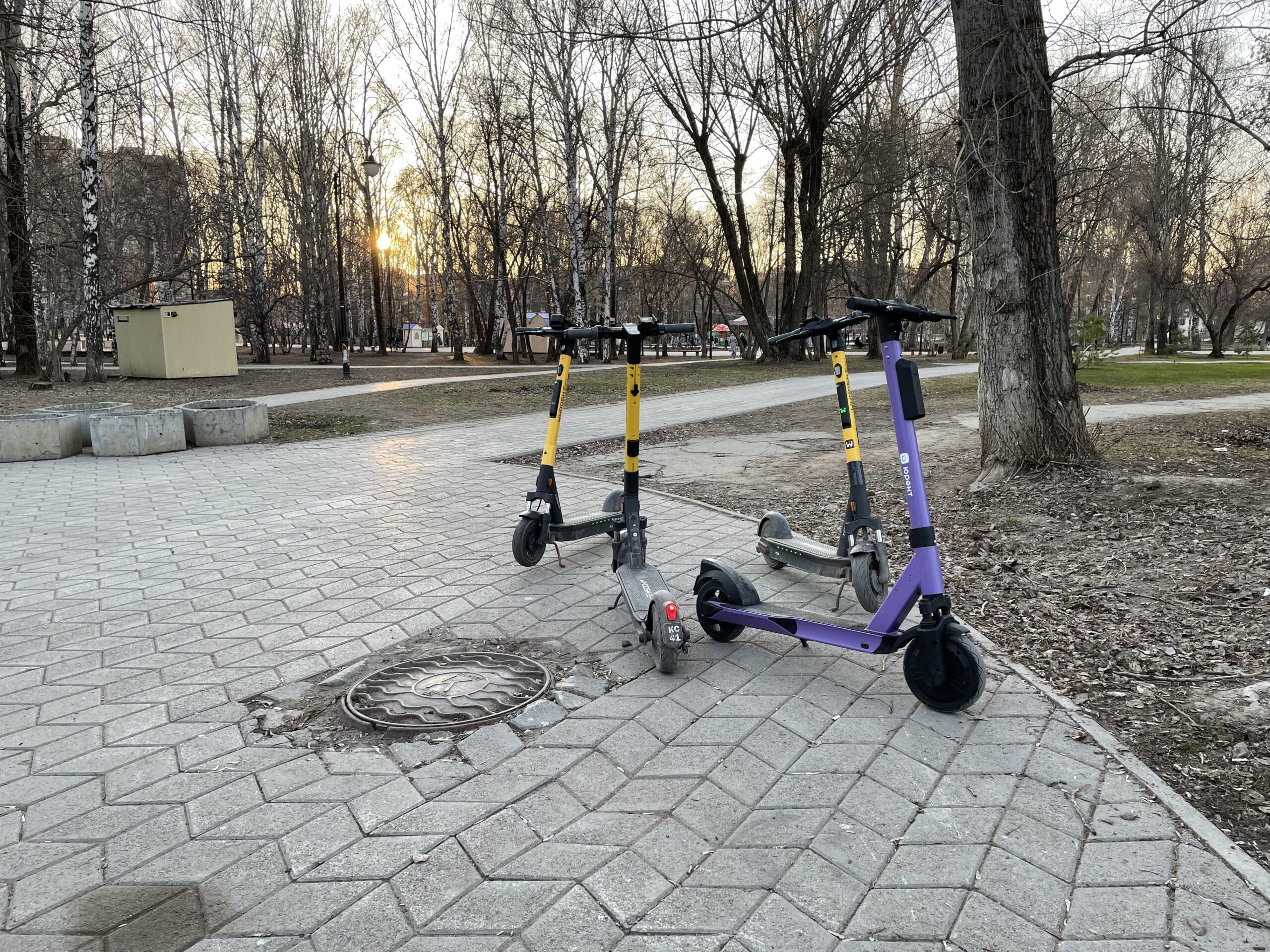 Фото: В курсе.ру