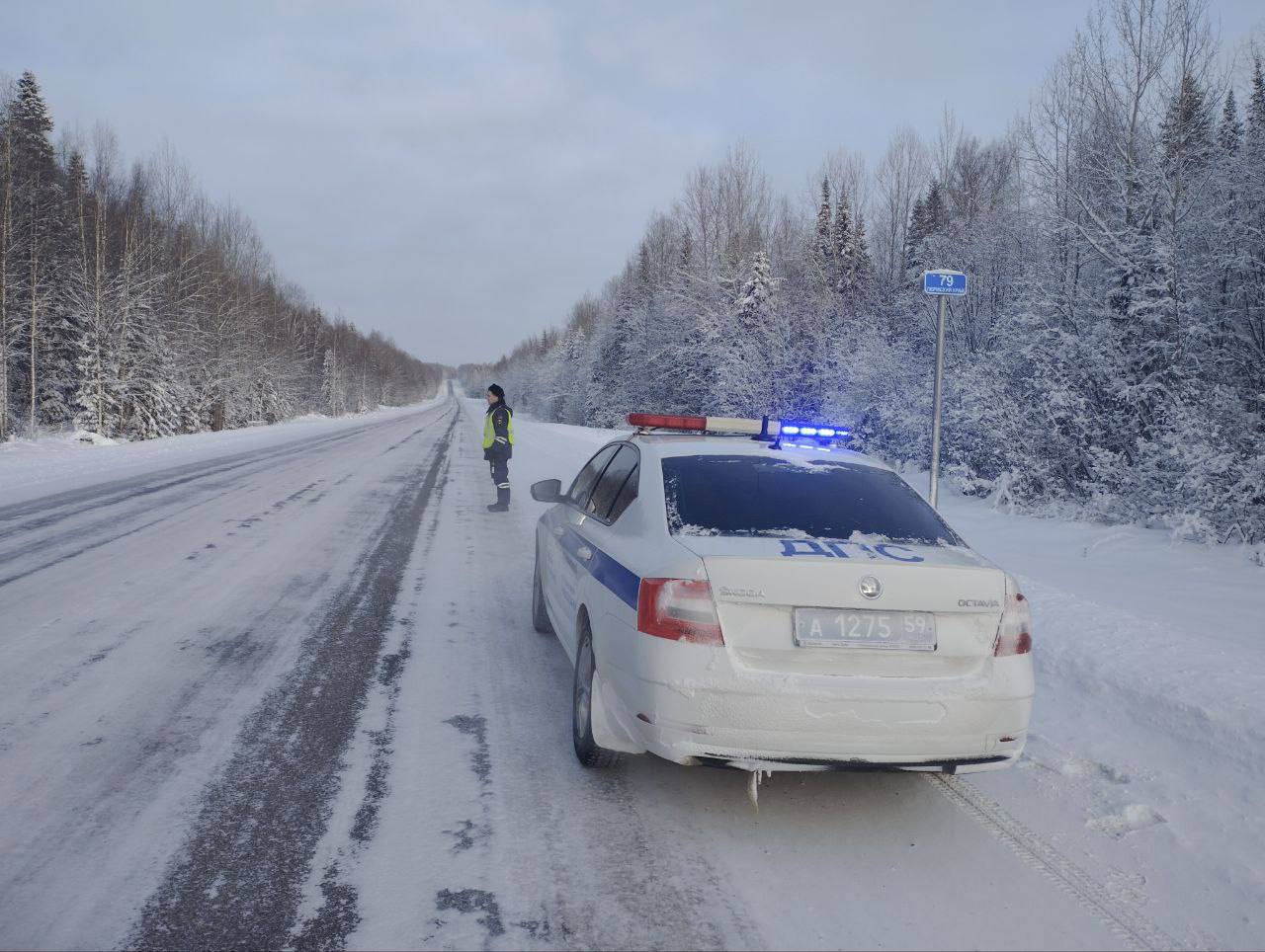 Пьяный пермяк пытался дать взятку сотруднику ДПС | 14.02.2024 | Пермь -  БезФормата