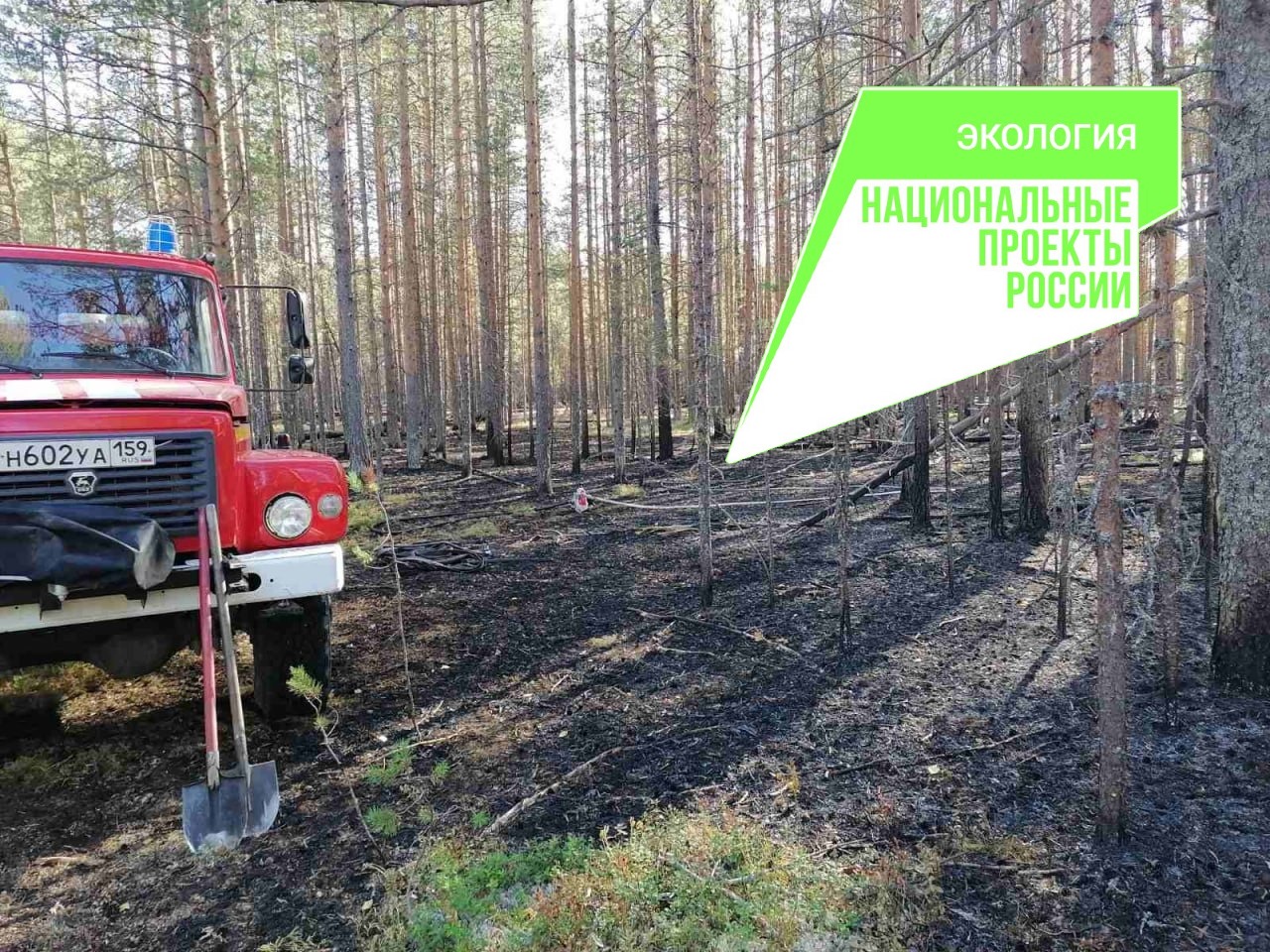 Фото: министерство природных ресурсов Пермского края