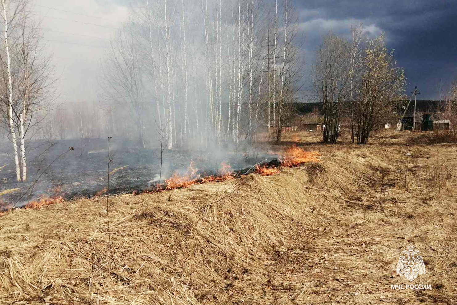 Сжигание сухой травы