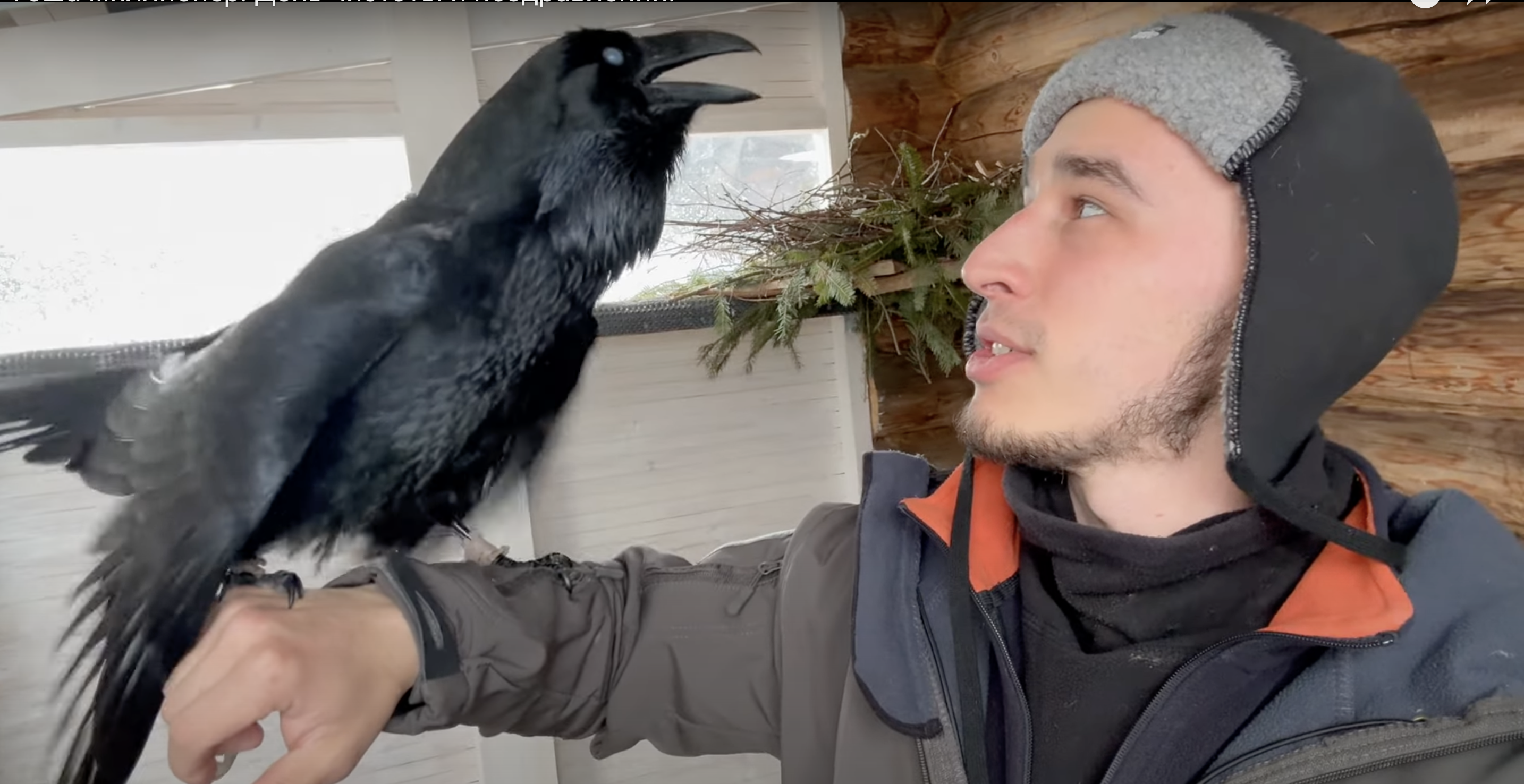 Скрин видео youtube.com/Ворон TV