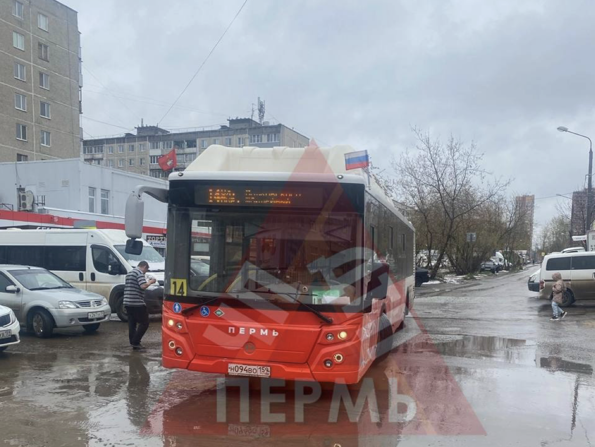 В Перми проверят водителей автобусов, паркующихся на пешеходном переходе у  школы | 07.05.2024 | Пермь - БезФормата