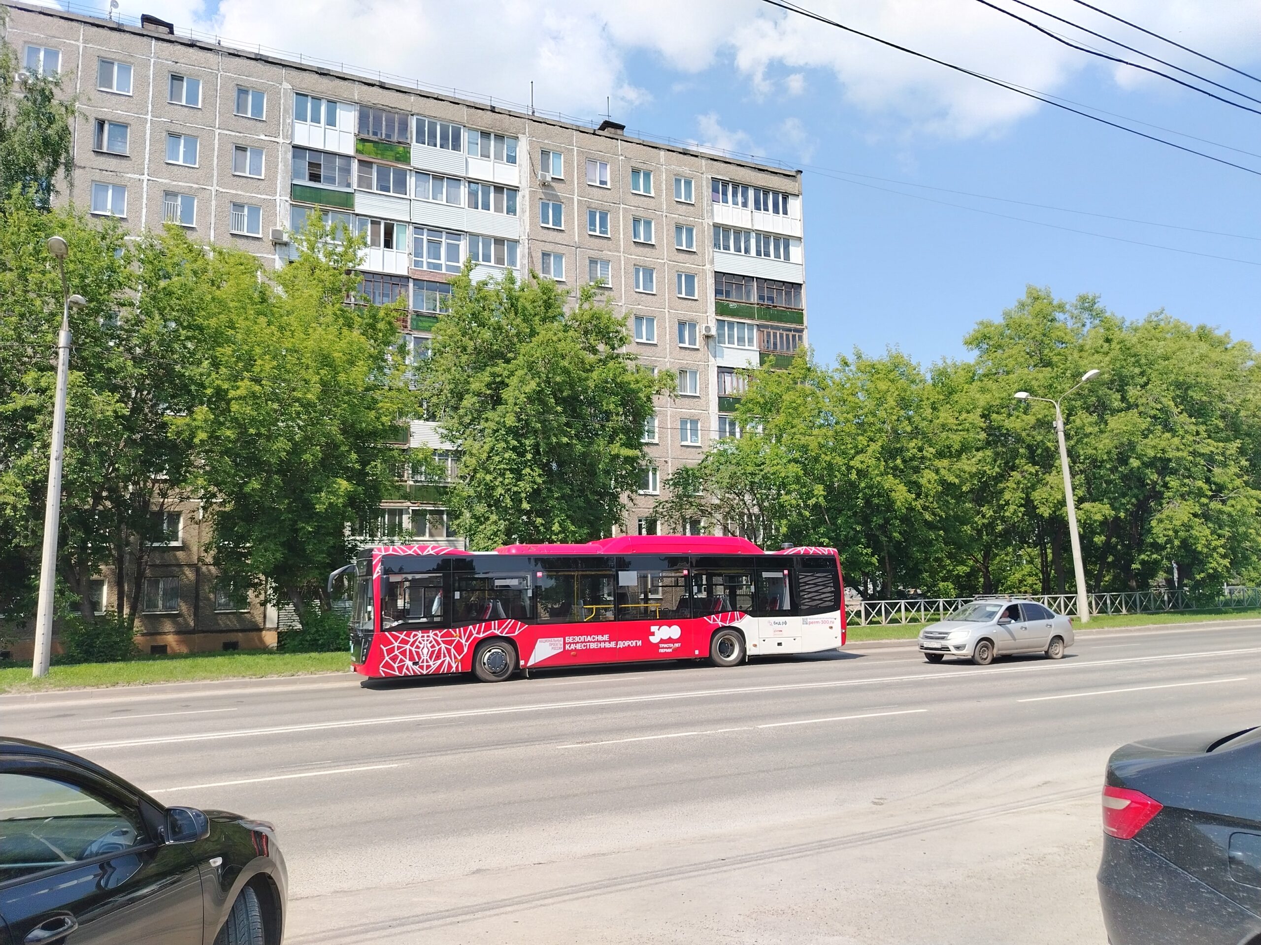 Фото: Полина Анкушина