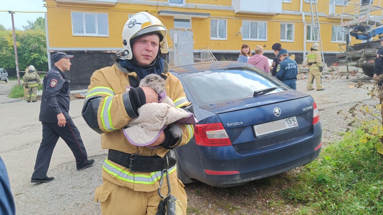 Фото: Андрей Родыгин / Телеграм