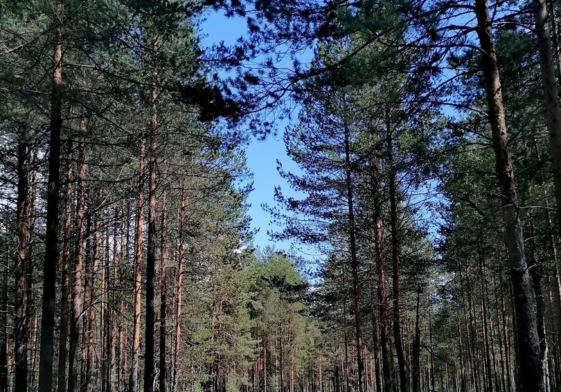 Фото Ульяны Бажановой