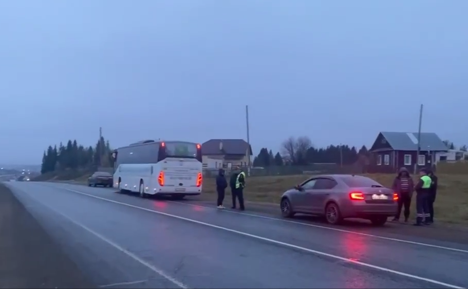 Фото: Госавтоинспекция Пермского края