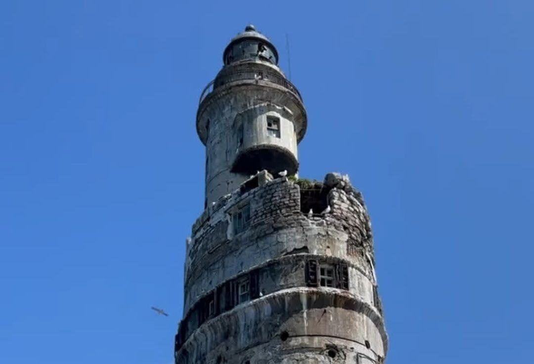 Фото: Мария Базунова
