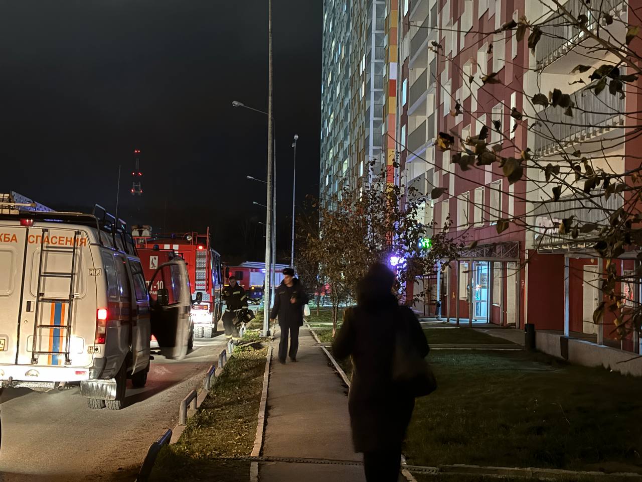 Фото: В курсе.ру