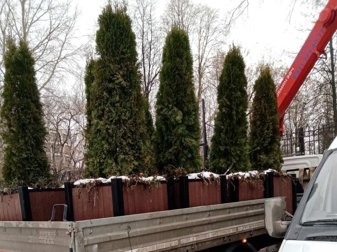 Фото: МКУ «Городское зеленое строительство» г.Пермь / вк