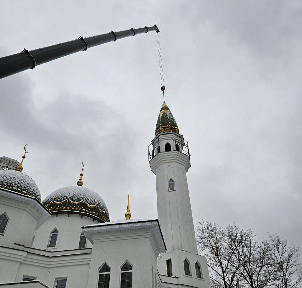 Фото: В курсе.ру