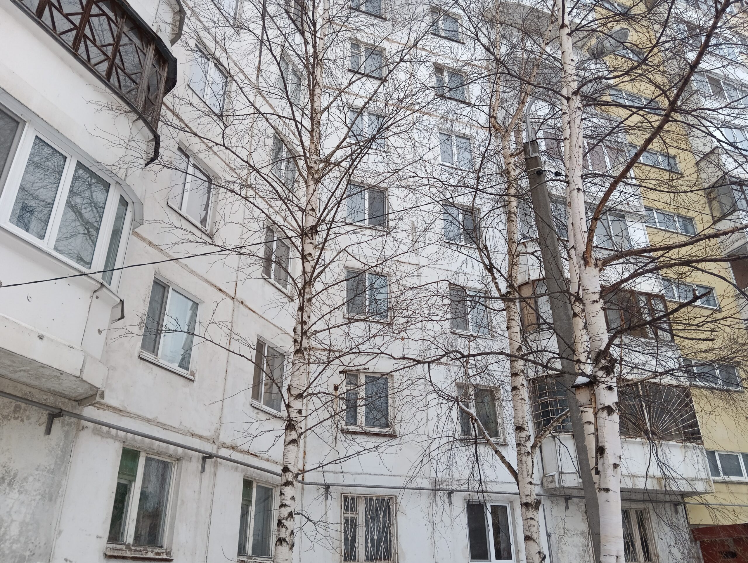 Фото: Владимир Владимиров для «В курсе.ру»