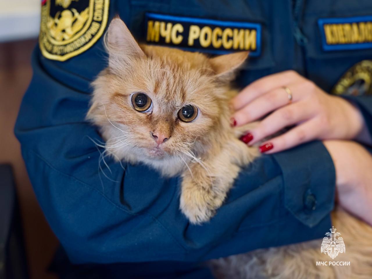 Фото: ГУ МЧС по Пермскому краю