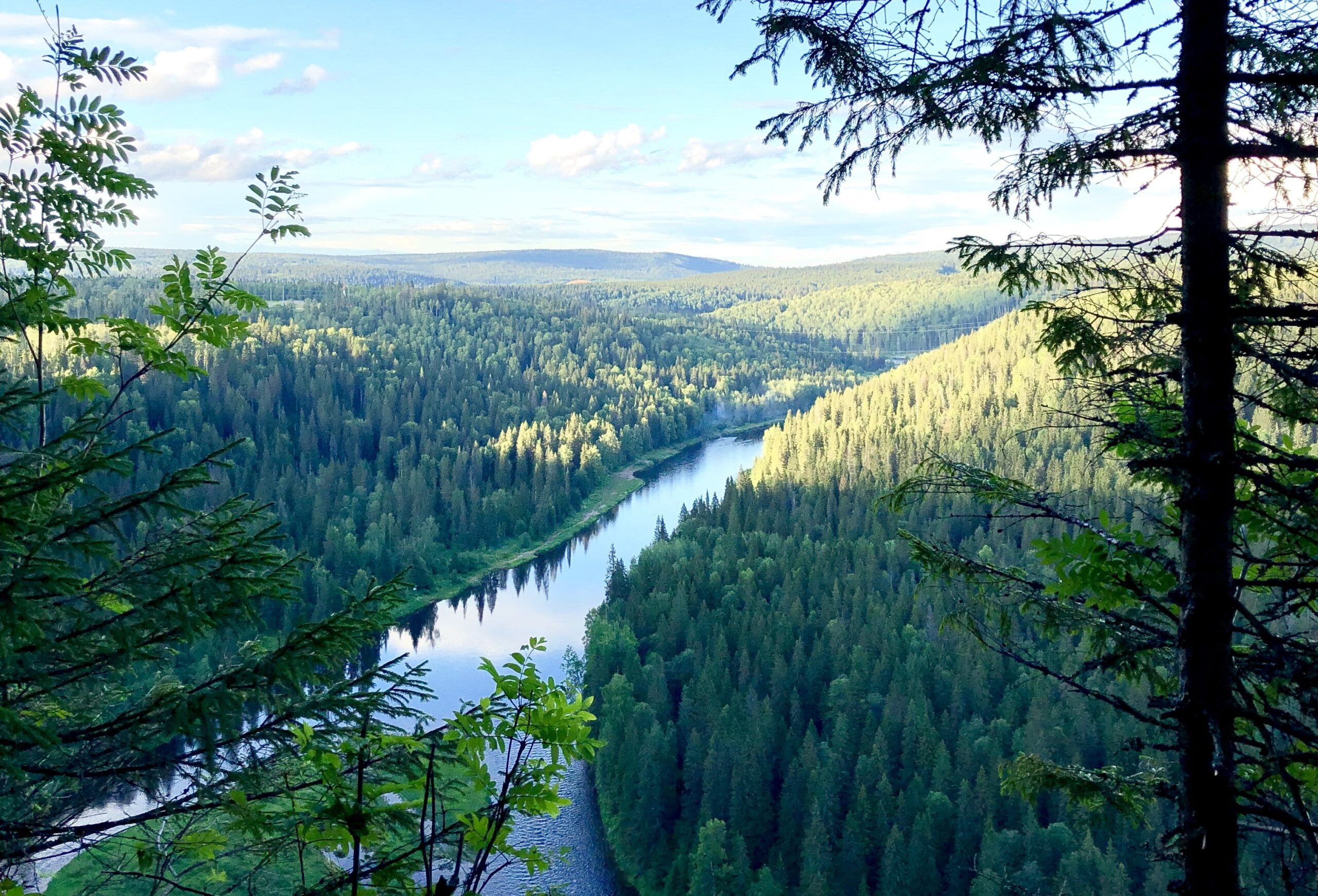 Фото: «В курсе.ру»