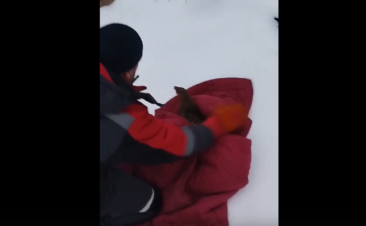 Фото: Поисково - спасательная служба КМО(16+). / вк