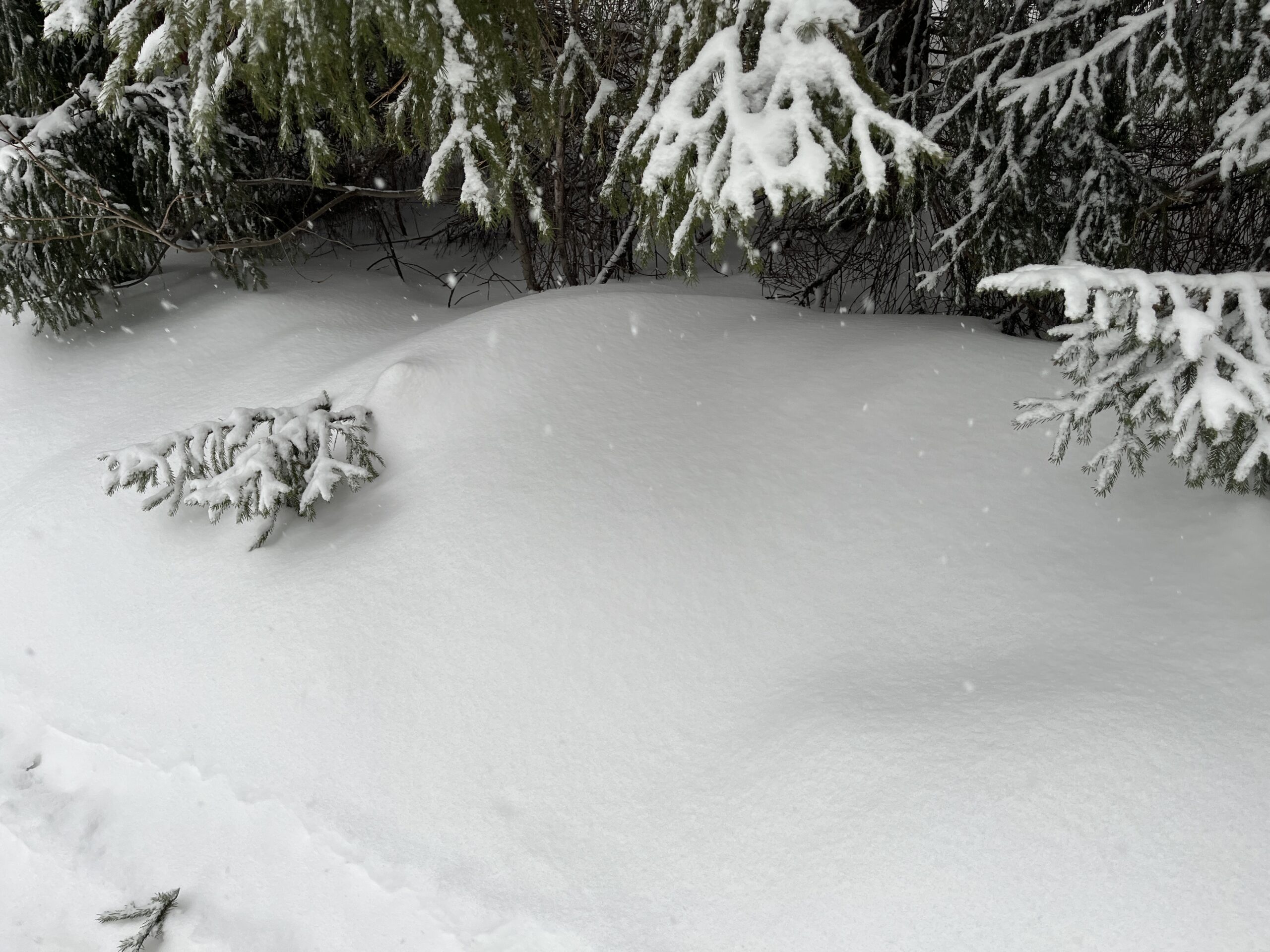 Фото: В курсе.ру