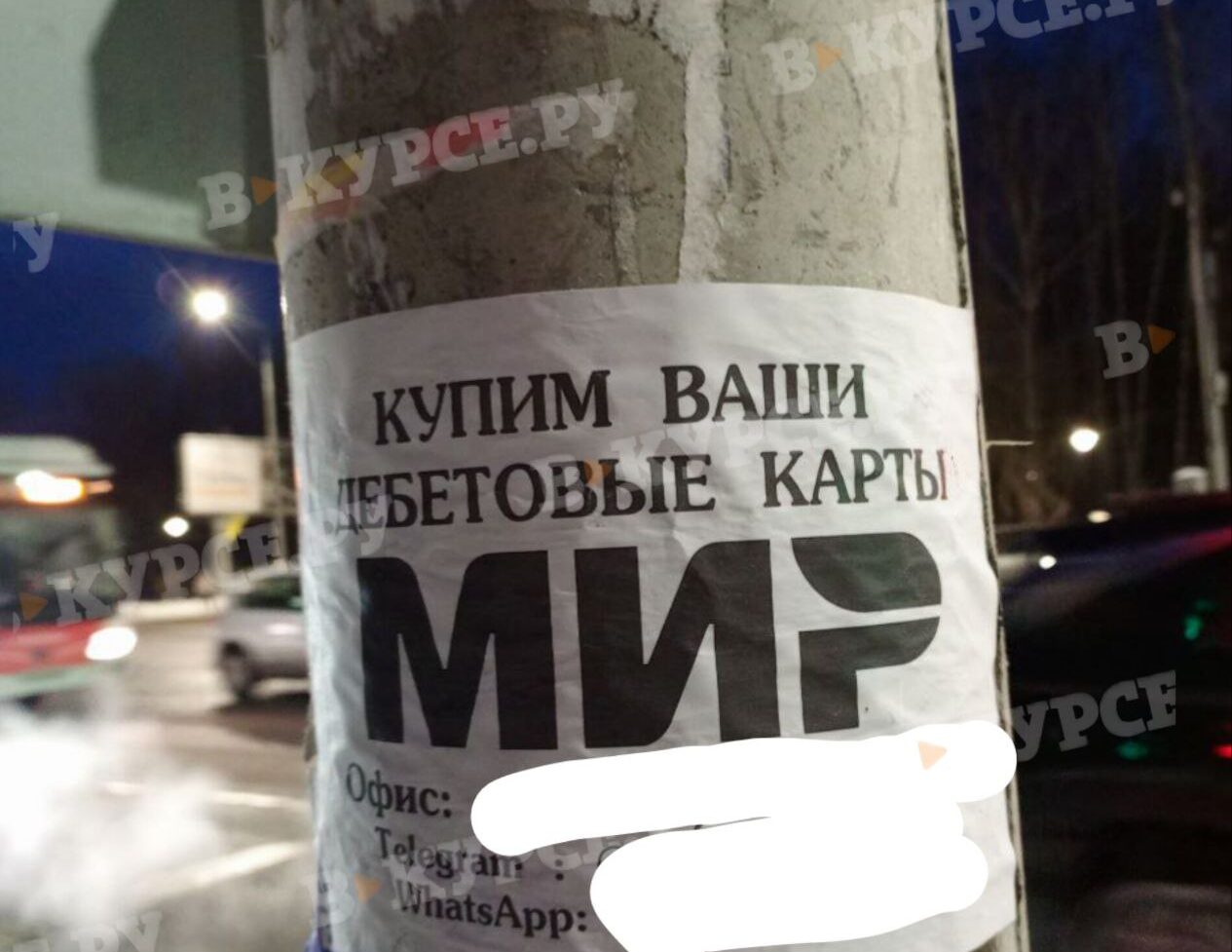 Фото: В курсе.ру