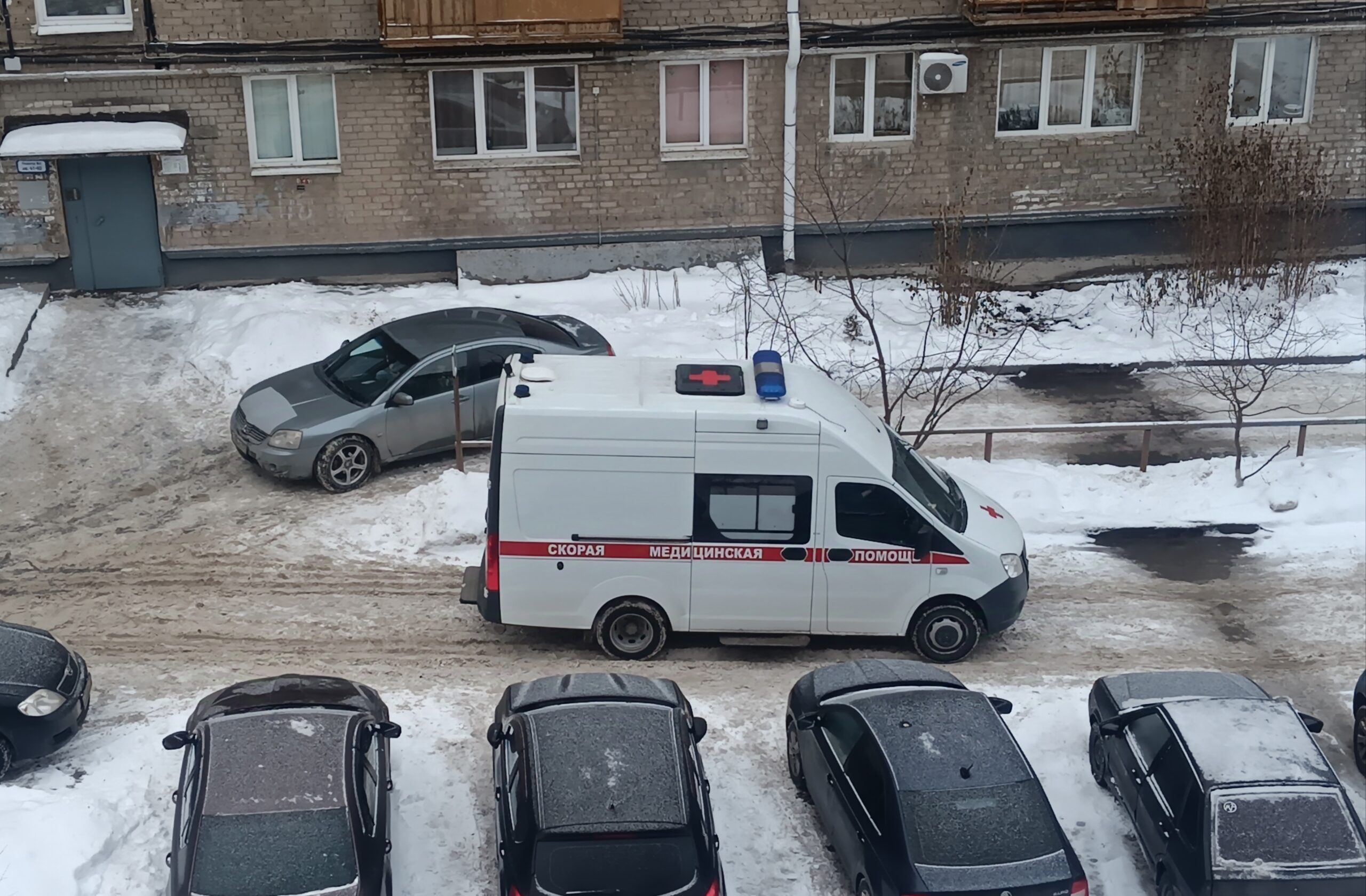 Фото: В курсе.ру