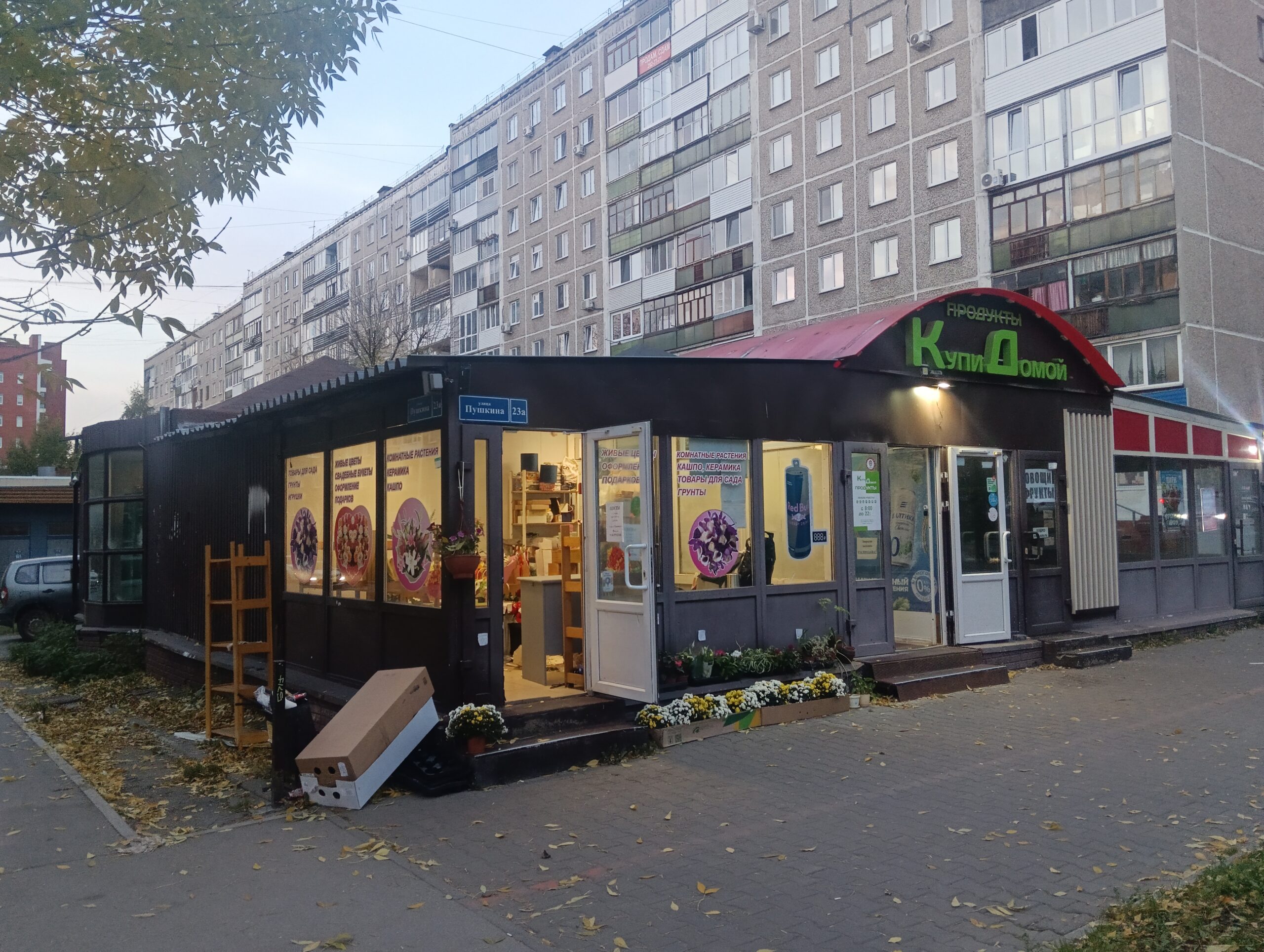 Фото: В курсе.ру
