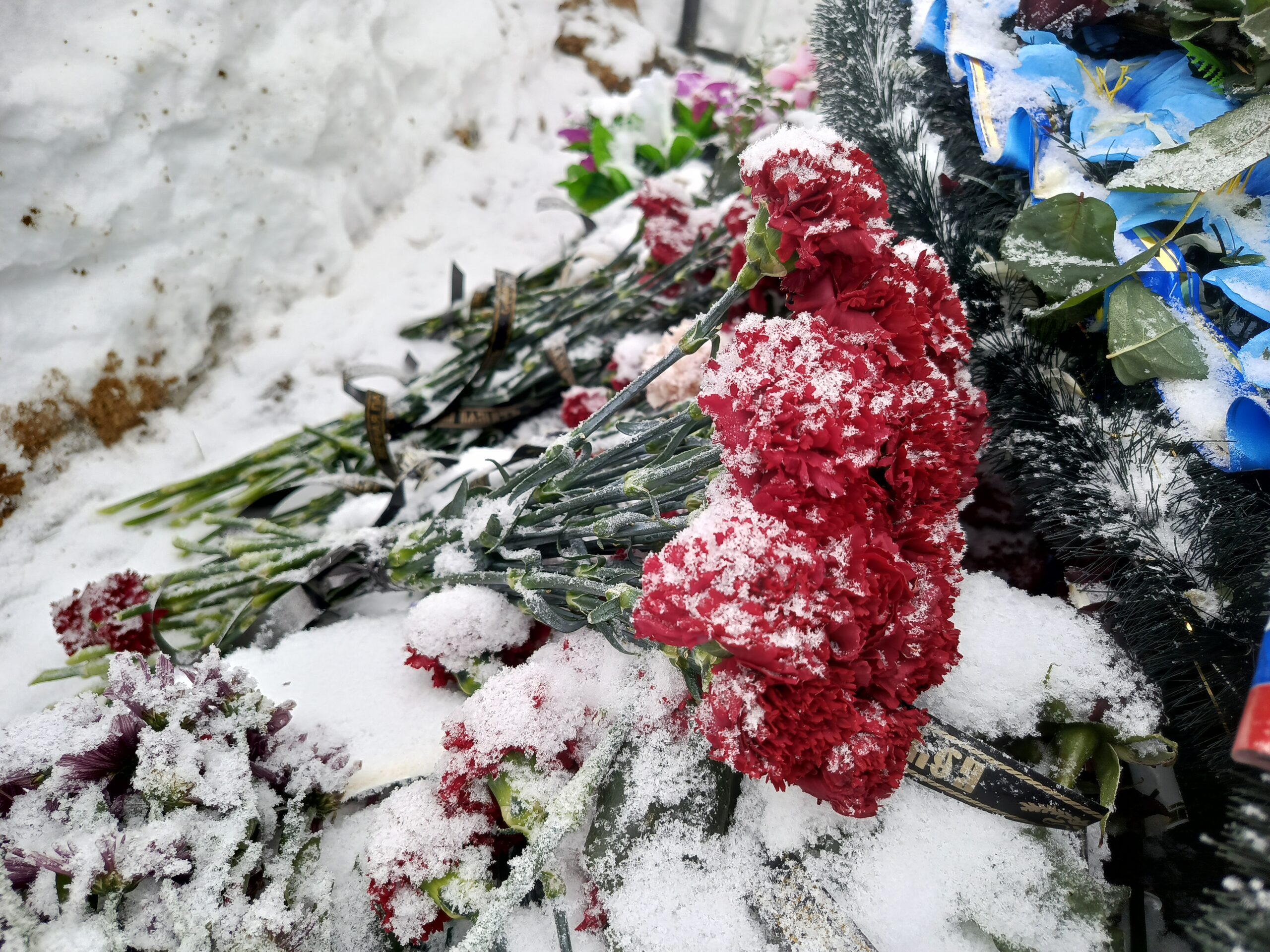 Фото: Ульяна Бажанова