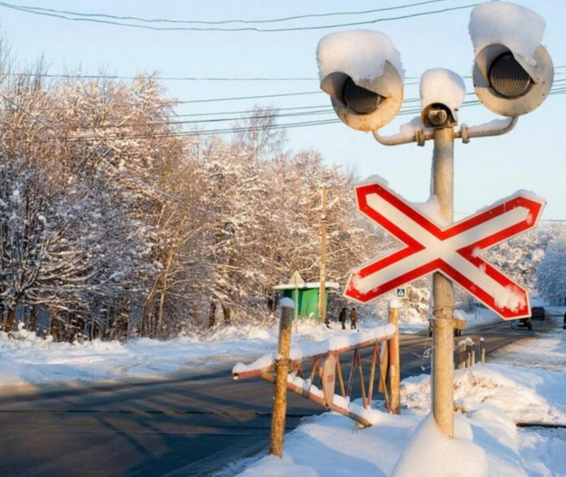 Фото: Пермский муниципальный округ / ТГ