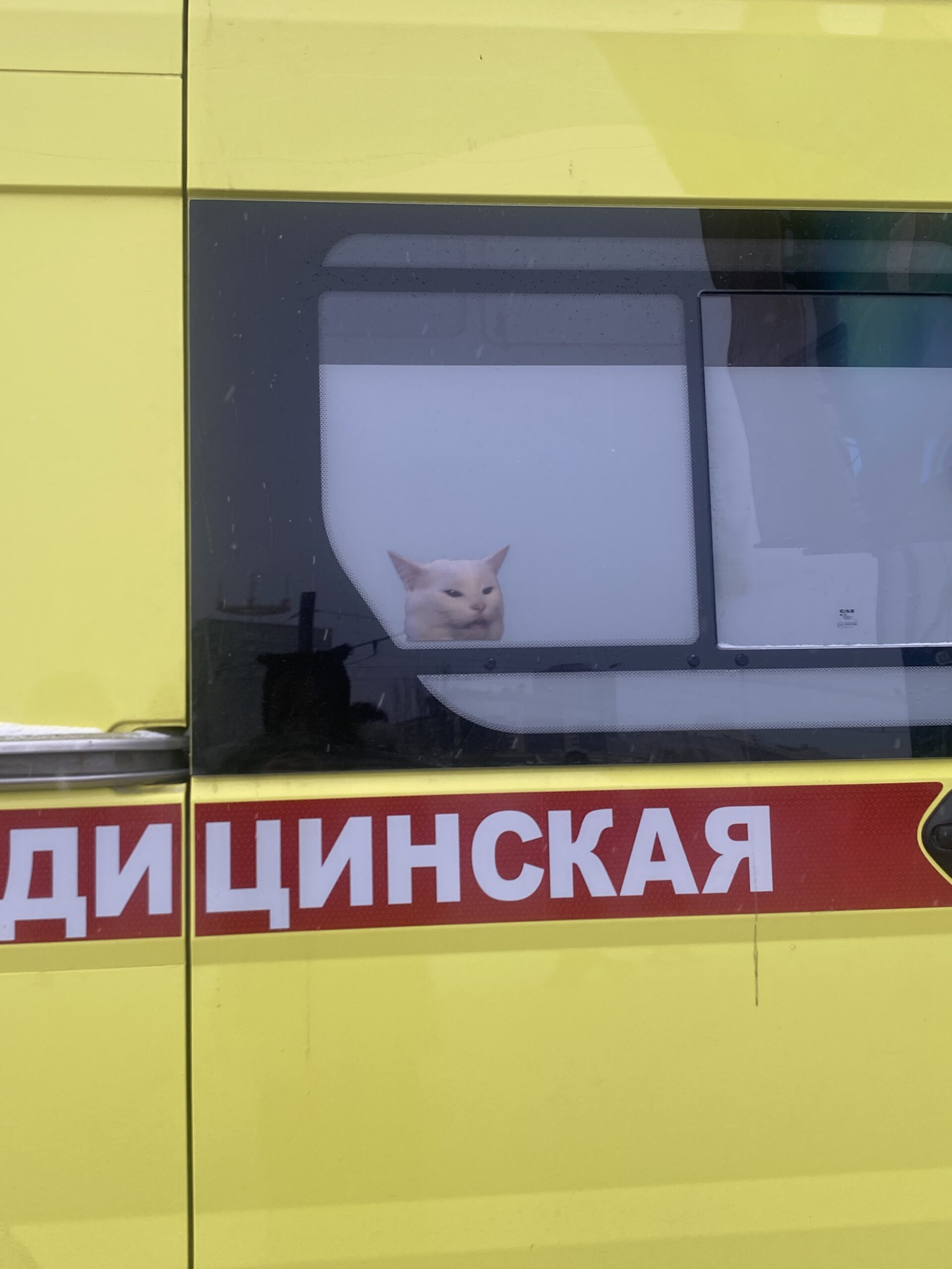 Фото: В курсе.ру