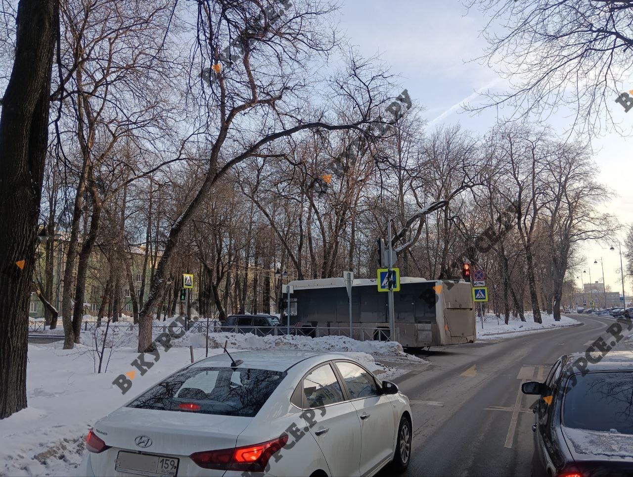 Фото: В курсе.ру